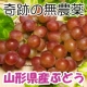 イベント「【3名様限定】稲泉農園　奇跡の無農薬ぶどうセット　モニタープレゼント」の画像