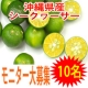 イベント「☆マキ屋フーズ☆「沖縄県産シークヮーサー（青果）」モニター10名募集　」の画像