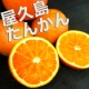 イベント「【緊急開催】甘くてジューシー！希少な屋久島たんかん3キロ【みかんの王様】」の画像