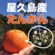 イベント「ハッとする美味しさがギュ！甘みと酸味が絶妙★屋久島産たんかん3kg★」の画像
