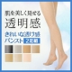 透明感となめらかさで肌を美しく見せる。シャルレのきれいな透け感パンスト（2足組）/モニター・サンプル企画