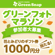 「花とみどりのギフト券が当たる！『第2回グリーンフォトマラソン』参加者大募集」の画像、GreenSnapのモニター・サンプル企画