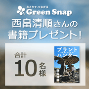 「西畠清順さんの書籍プレゼント！GreenSnapのアンケートに答えて応募しよう！」の画像、GreenSnapのモニター・サンプル企画