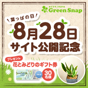 「【GreenSnap】8月28日（葉っぱの日）サイト公開記念！プレゼントイベント」の画像、GreenSnapのモニター・サンプル企画