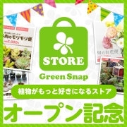 「GreenSnapSTORE公開記念！ あなたの欲しい商品はどれですか？」の画像、GreenSnapのモニター・サンプル企画