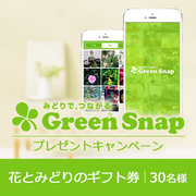 「GreenSnapご利用体験談大募集！！花とみどりのギフト券プレゼント」の画像、GreenSnapのモニター・サンプル企画