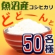 出産内祝いにもピッタリの魚沼産コシヒカリ♪どどーんと50名様プレゼント！/モニター・サンプル企画