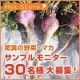 【モニター大募集】「マカ」サプリメント5日分を30名様に！/モニター・サンプル企画