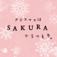 今年のクリスマスはSAKURAでうっとり。セットで50名様にお届け！/モニター・サンプル企画