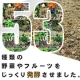 イベント「犬が消化できる野菜！『酵素パワー元気　100g』モニター１０名募集」の画像