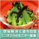 イベント「野菜に関するご意見、大募集！アンケートにこたえて 【ミニオクラ】をGETしよう♪」の画像