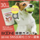 イベント「【愛犬用】バイオワン関節サポートのブログorインスタ投稿モニター30名様募集！」の画像