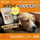 イベント「【愛犬用】バイオワンめぐりサポートのブログorインスタ投稿モニター20名様募集！」の画像