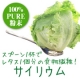 イベント「話題の食物繊維「天然サイリウム 100%純粉末（試供品）」を10名様に♪」の画像