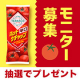 【商品モニター】ひと味違うケチャップ体験「タバスコブランド ホットケチャップ」/モニター・サンプル企画