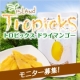 パンマルシェ3初出店記念【試食モニター募集】Tropicks/モニター・サンプル企画