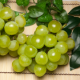 山形県の無農薬ぶどう『ロザリオビアンコ』ご試食モニター募集！【5名様】/モニター・サンプル企画