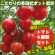 イベント「こだわりの「多段式ポット栽培」で作ったトマト６種類セットを20名様にプレゼント♪」の画像