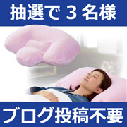 「ボックスティッシュのケースに関する実態・意識調査」の画像、プロイデア／アイソシアル／ラボネッツのモニター・サンプル企画