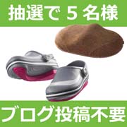 「骨盤底筋を鍛えるクッション・エクササイズスリッパ当たる！アンケート」の画像、プロイデア／アイソシアル／ラボネッツのモニター・サンプル企画