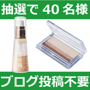 「腰痛・腰痛ベルトに関する意識調査アンケート」の画像、プロイデア／アイソシアル／ラボネッツのモニター・サンプル企画