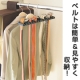 イベント「14本のベルトが簡単＆見やすく収納できる＊ベルトハンガー≪モニター募集≫」の画像