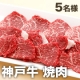 イベント「辰屋の「神戸牛焼肉 極上」【5名様にプレゼント】」の画像