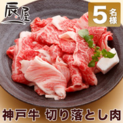 「『神戸牛 切り落とし肉 400g』のブログorインスタ投稿モニター★5名様募集★」の画像、有限会社辰屋のモニター・サンプル企画