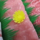イベント「世界一安心安全☆鹿児島黒豚さくらこちゃんのお肉を囲んでしゃぶしゃぶはいかが？」の画像