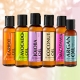 イベント「【顔出しモニター】愛され続けるヘアオイル！人気の6種類から１つをプレゼント！！」の画像