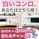 イベント「【リンナイ】2つの白いコンロあなたはどちら派？ブログで紹介☆QUOカードゲット！」の画像