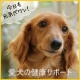イベント「【新商品開発モニター10名様募集】愛犬の健康生活サポート♪今日も元気だワン！」の画像
