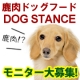 ▼獣医師が愛犬の健康を考えて作った『鹿肉』ドッグフード★モニター5名大募集▼/モニター・サンプル企画