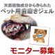 イベント「先行モニター■天然植物成分から作られたペット用歯磨きジェル5名さま」の画像