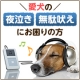 イベント「愛犬の「夜泣き」「無駄吠え」にお困りの方！10名様募集」の画像