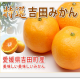 イベント「≪吉田産温州みかん3kg≫愛媛みかん発祥の地から産地直送でお届けします」の画像