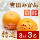 イベント「≪吉田みかんの有機ポンカン3kg≫愛媛みかん発祥の地から産地直送でお届けします」の画像
