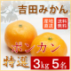 イベント「≪吉田みかんのポンカン3kg≫愛媛みかん発祥の地から産地直送でお届けします」の画像