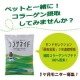 イベント「ペットと一緒に！純粋コラーゲンペプチド１００％粉末で健康に★１ケ月モニター募集！」の画像