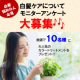 【投稿不要！】白髪悩みについてアンケートモニター募集（アンケートに答えるだけで人気商品が当たる！）/モニター・サンプル企画