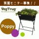 イベント「ベランダが畑に変身?!家庭菜園プランター&rdquo;ポピー&rdquo;モニター募集☆」の画像
