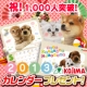 イベント「【ペットの専門店コジマファンコミュニティ】　1000人突破☆カレンダープレゼント」の画像