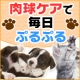 ペットの肉球ケアに！優しくお手入れ♪肉球のためのプラチナクリームモニター募集♪/モニター・サンプル企画