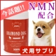 イベント「【長生きしてほしいわんちゃんに】ダイアモンドドッグ【約2ヵ月間お試し！80名様】」の画像