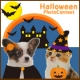 イベント「【ハロウィン】ワンちゃんネコちゃん★フォトコンテスト【プレゼントあります】」の画像