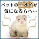 イベント「ペットのニオイでお困りの方～天然酵素由来 強力防臭・消臭スプレー モニター募集！」の画像