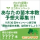 イベント「ブログ記事が苗木に変わるエコキャンペーン★あなたの『苗木本数』予想大募集!!!」の画像