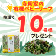 「★自家製牡蠣殻堆肥で作りました★「寺岡家の有機ベビーリーフ」【Instagram料理写真投稿モニター募集！】」の画像、寺岡有機醸造株式会社のモニター・サンプル企画