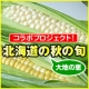 イベント「北海道の秋の旬！谷口農場の朝もぎとうもろこし&ldquo;ゆめのコーン&rdquo;&&ldquo;ピュアホワイト&rdquo;」の画像