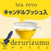 「キャンドルブッシュでぽっこりお腹とたたかおう！デルリズム 5包お試し」の画像、株式会社エクセレントメディカルのモニター・サンプル企画